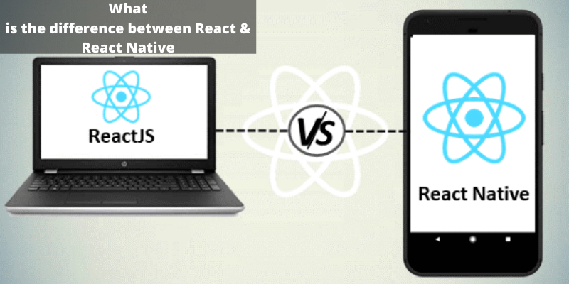 What is the difference between React & React Native